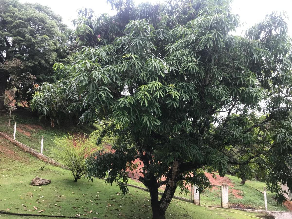 Sitio Dos Rodrigues Villa Lindóia Kültér fotó